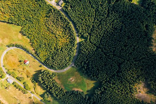 Eco-Art Festivals in the Czech Republic: Pioneering Sustainability Initiatives